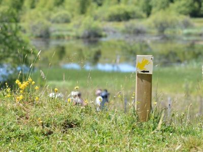 Brujaleine peat bogs - from Chavagnac