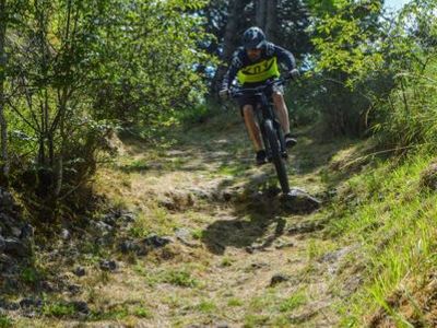 Le bois de Fontoune