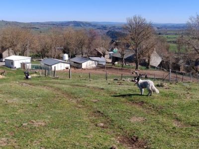 Pique Nique à la Ferme des Gardes