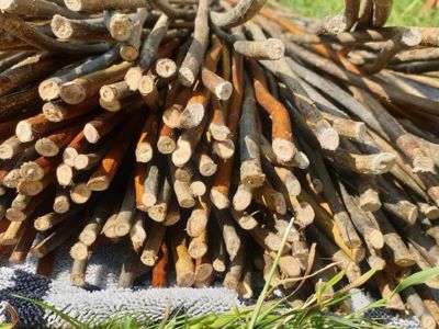 Stage Vannerie Créative : Fabriquer ses cadeaux de Noël et décorations naturelles
