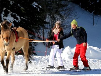 Balade en ski joering avec la ferme équestre de l'Alagnon