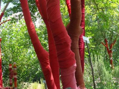 Visite - découverte du Jardin Délirant