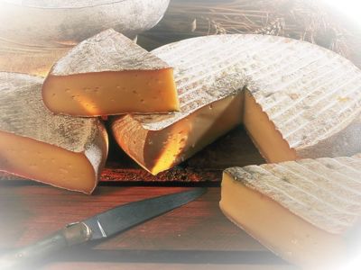 Visite de la ferme de Condeval : découverte de la fabrication du Saint-Nectaire