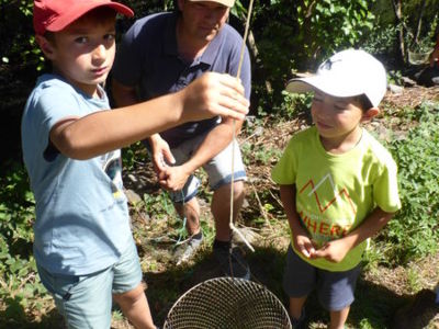 Crayfish fishing workshop on the Alagnon river