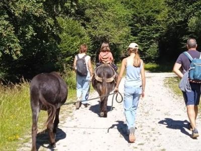 Randonnée accompagnée avec les ânes - 2 Jours