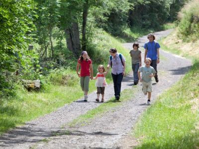 Le bois de Chavagnac