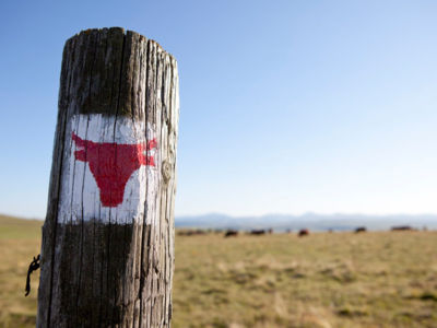 Le Tour des Vaches Rouges - Main itinerary - Departure Allanche, Cantal