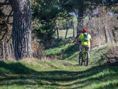Le bois de Fontoune