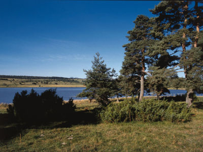 Vallée de Cézerat et le lac du Pêcher