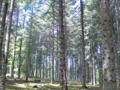 La roche du pic