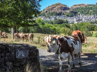 Ferme La Grange de la Haute Vallée