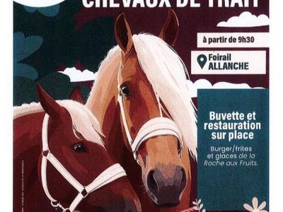 Concours cantonal des chevaux de trait