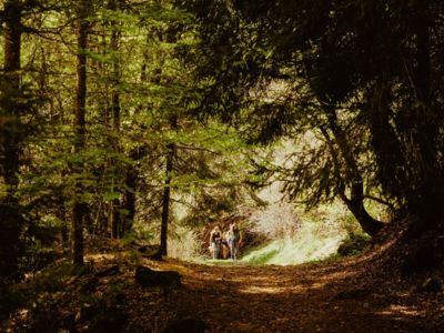 Moments Nature