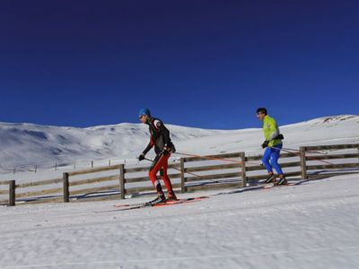 Les Rhodes