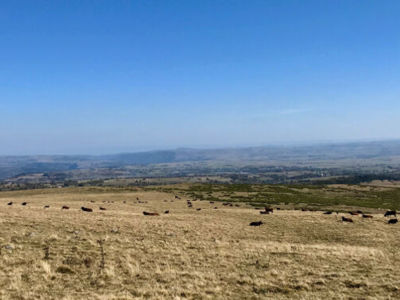Parcours trail 16 - Puy Niermont Le Ché Albepierre