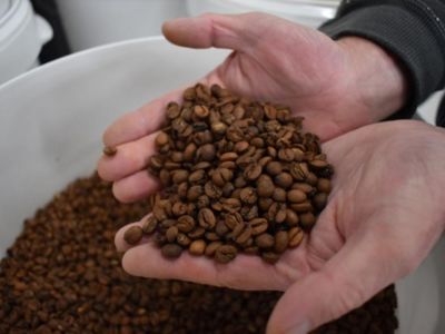 Découverte du café de spécialité et initiation à la torréfaction