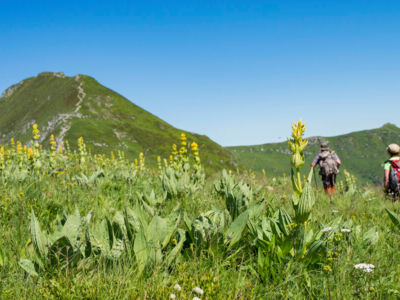 Cyclo. Des plateaux du Cézallier au pays d’Alagnon – parcours 1