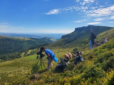 Marmottes du Puy de Grandval - Randonnée avec Gilles Guilloteau