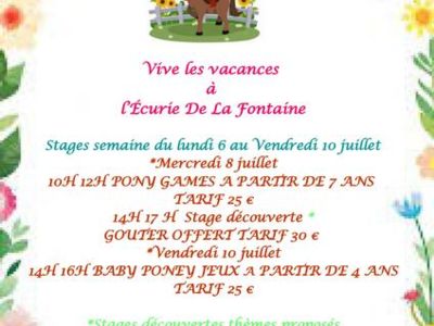 Stages Poney à l'Ecurie de la Fontaine