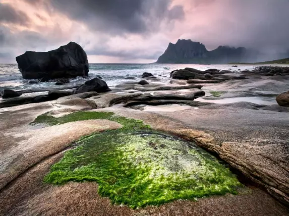 HALLE & ARTS : EXPO DE PEINTURES, GRENADE