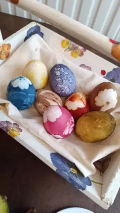 05.04.2026 - Teinture végétale sur oeufs - Montaigut, MONTAIGUT-SUR-SAVE