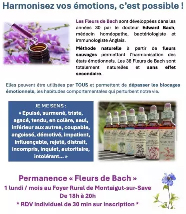 12.10.2026_regulation emotionnelle fleurs de bach montaigut, MONTAIGUT-SUR-SAVE