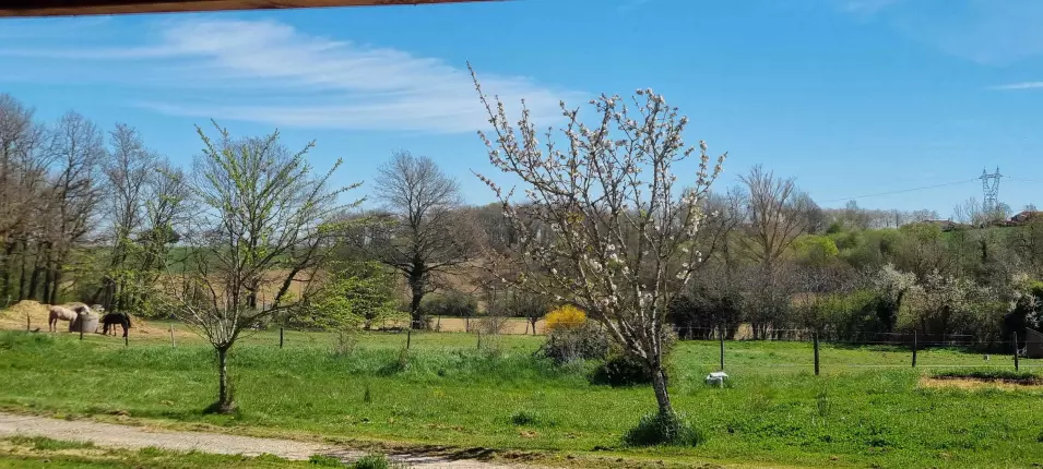 La Ferme de Menoun, THIL