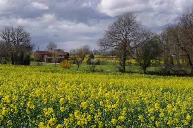 La Ferme de Menoun, THIL