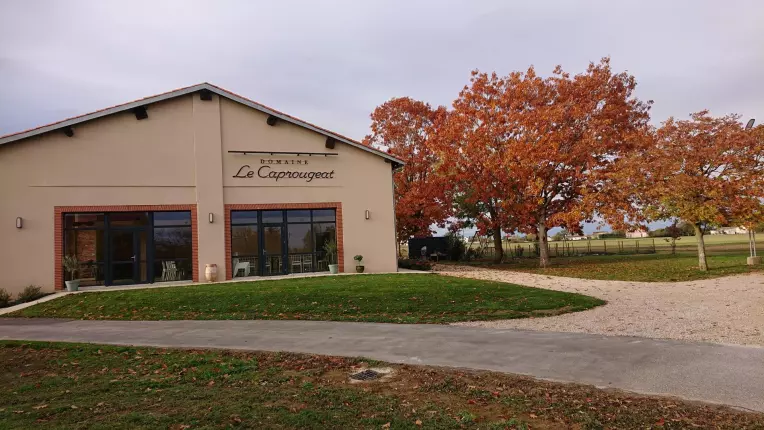Domaine le Caprougeat - Bohème, DAUX