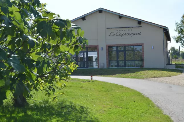 Domaine le Caprougeat - Bohème, DAUX