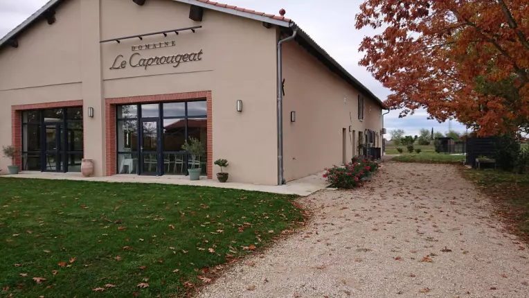 Domaine le Caprougeat - Campagne chic, DAUX