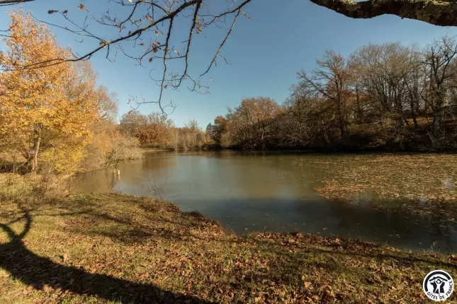 Le Havre du Lac, BRIGNEMONT