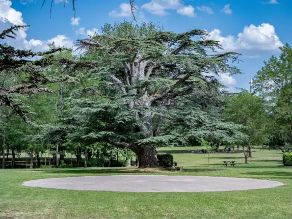 CONCOURS PHOTOS, GRENADE