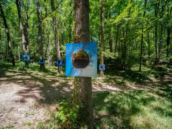 PHOTOS Site Internet - Expo en forêt ©SIDrone_TourismeHautsTolosans, PUYSSEGUR