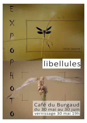 juin 2026 _vernissage exposition libellule Le Burgaud, LE BURGAUD