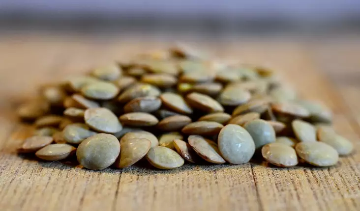 lentil-4160228-1280, LE CASTERA