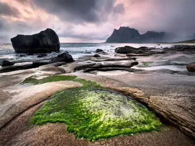 HALLE & ARTS : MATINÉE RENCONTRE, GRENADE