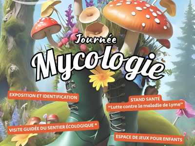 JOURNÉE MYCOLOGIE, MONTAIGUT-SUR-SAVE