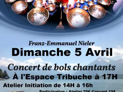 CONCERT DE FRANZ NIELER, MONTAIGUT-SUR-SAVE