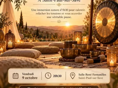 VOYAGE SONORE, SAINT-PAUL-SUR-SAVE