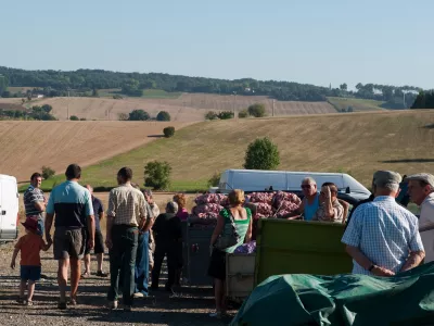 MARCHÉ DES PRODUCTEURS, CADOURS