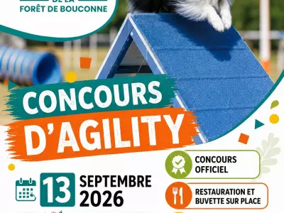 CONCOURS D'AGILITY, MONTAIGUT-SUR-SAVE