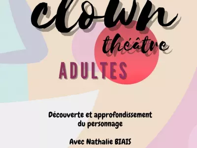 STAGE CLOWN ADULTE, GRENADE