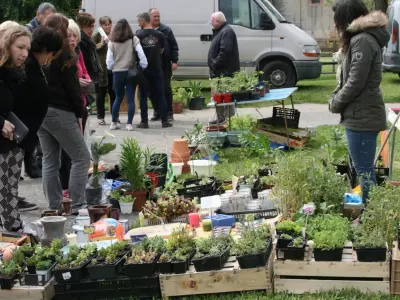 26.04.2026 - Vide greniers et jardins - Launac