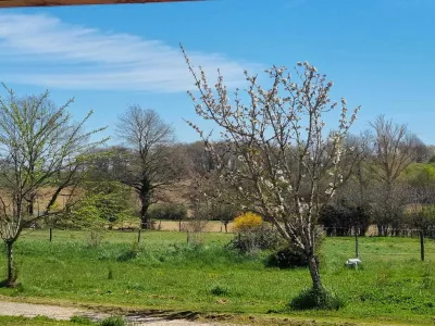 LA FERME DE MENOUN, THIL