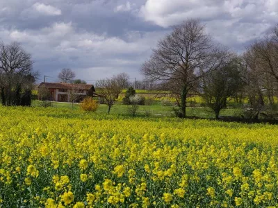 LA FERME DE MENOUN, THIL