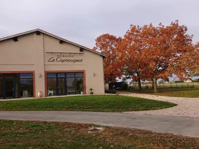DOMAINE LE CAPROUGEAT - BOHÈME, DAUX