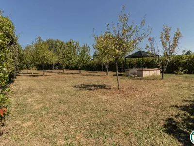 GRAND GITE DE GASCOGNE AVEC GRANDE PISCINE, VIGNAUX