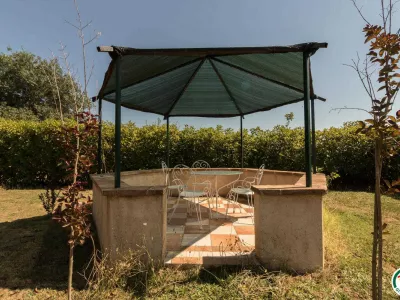 GRAND GITE DE GASCOGNE AVEC GRANDE PISCINE, VIGNAUX