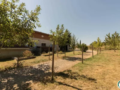 GRAND GITE DE GASCOGNE AVEC GRANDE PISCINE, VIGNAUX